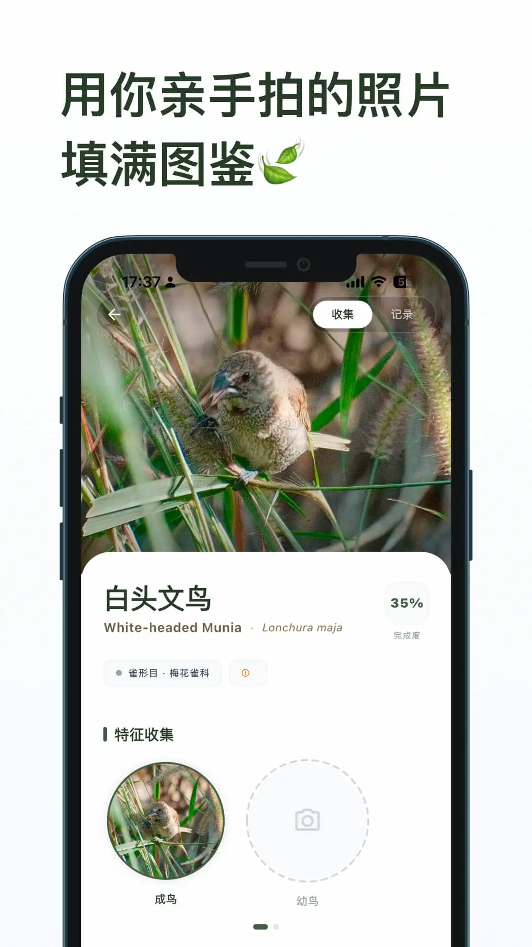 ��ë1.8.2 �ٷ������н�ͼ