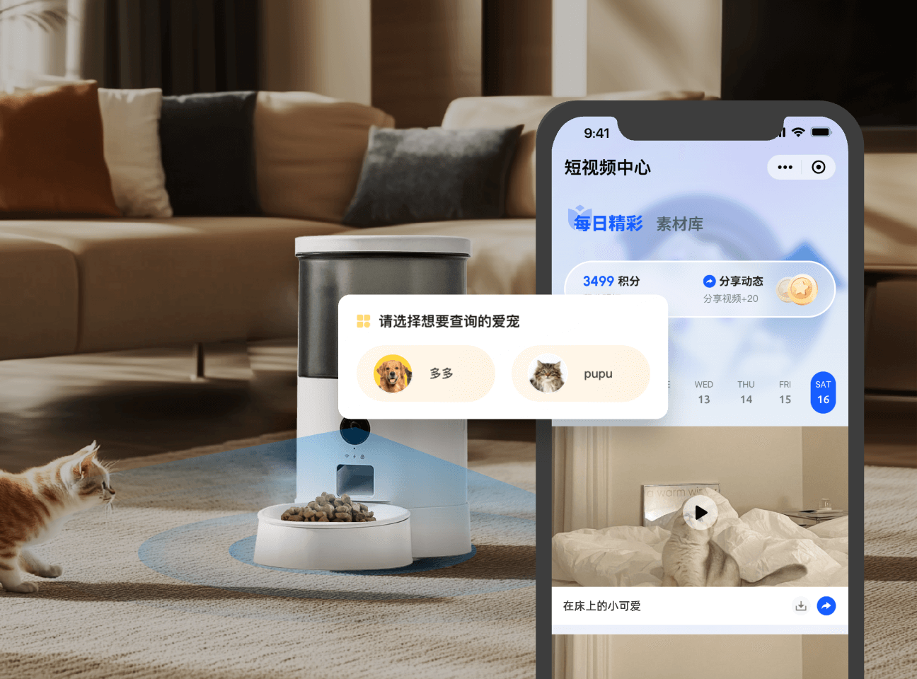 毛球在家 宠物智能设备 管理界面