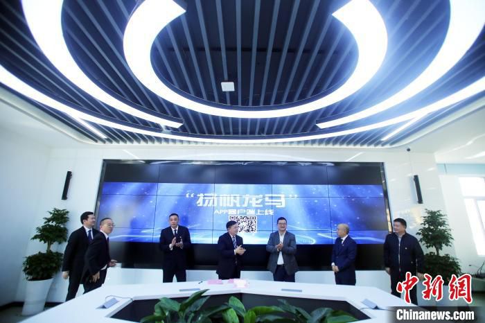 扬帆龙马 新闻 内容 质量