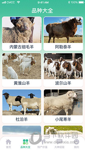 羊来运转 养羊管理工具 安卓版