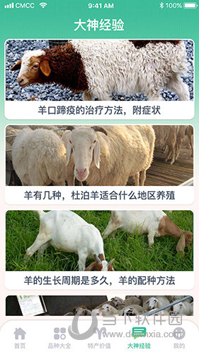 有一只羊 安卓版 养羊手账界面