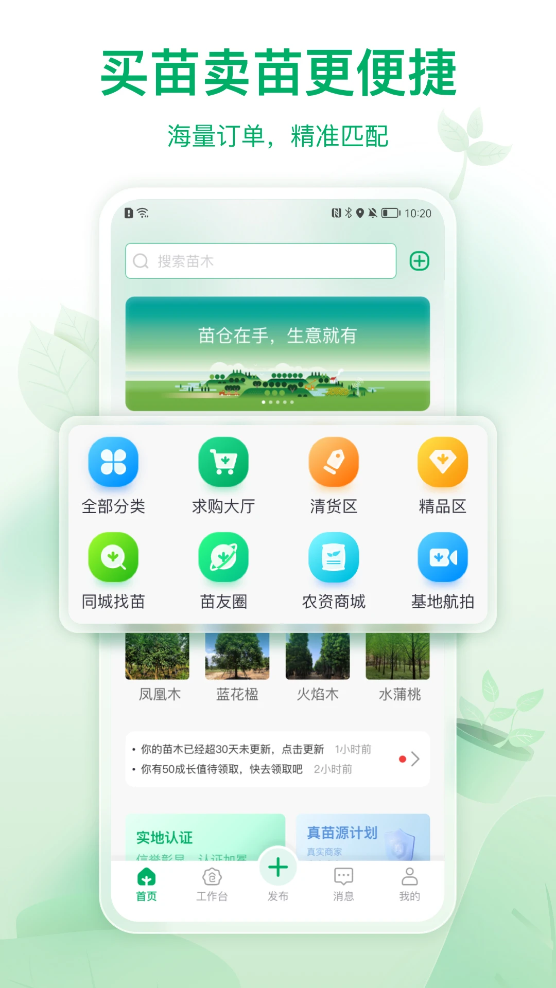 ���4.26.0 ��ľ�ִ��������н�ͼ