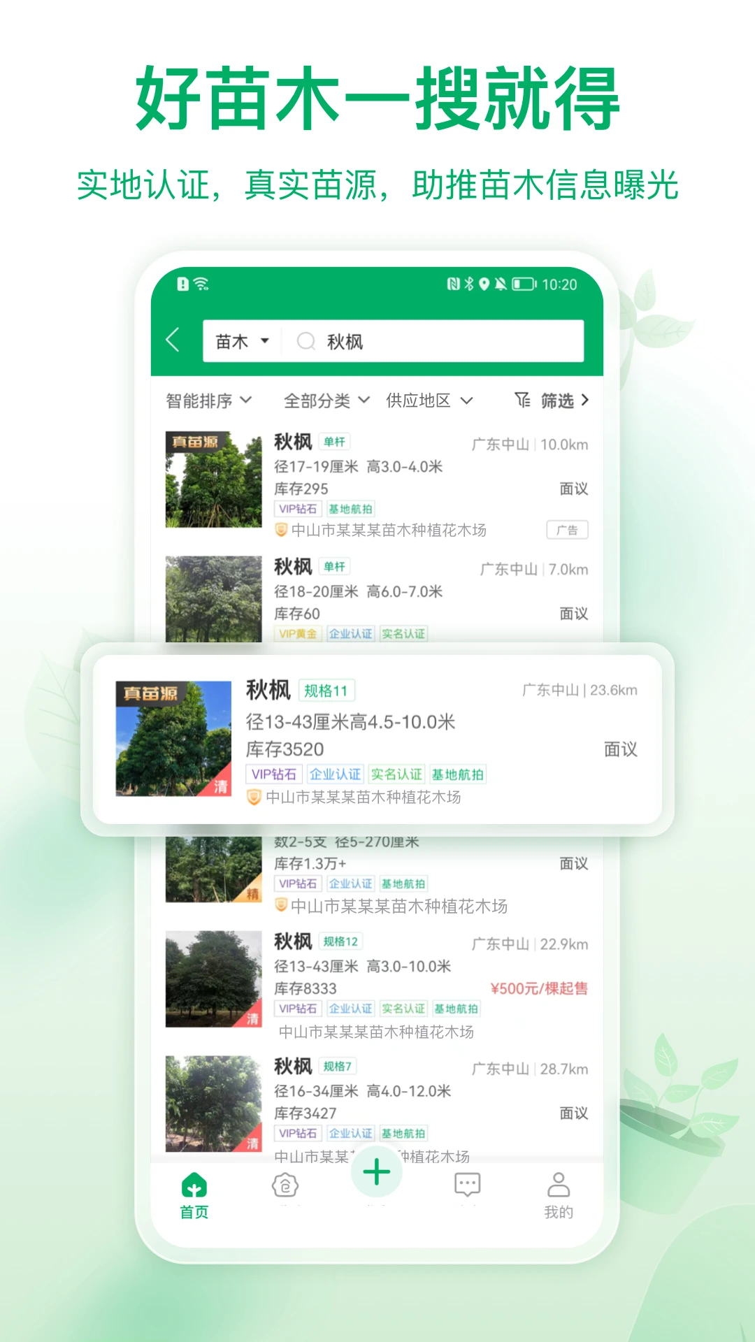 ���4.26.0 ��ľ�ִ��������н�ͼ