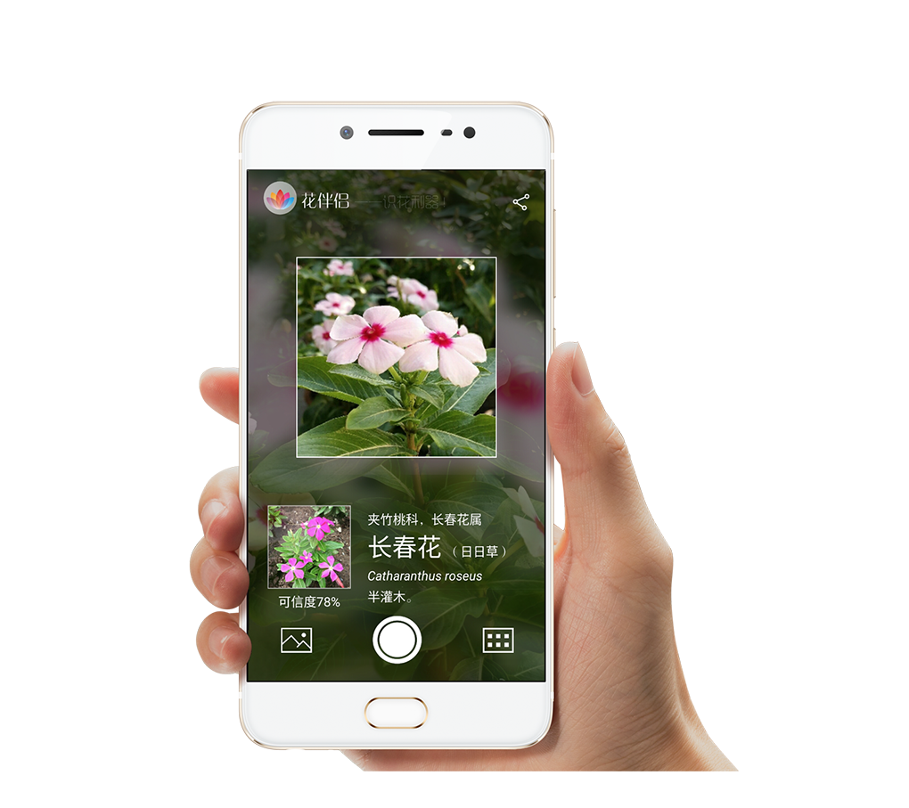 AI家庭养花助手 安卓版 拍照识花 植物档案 界面预览
