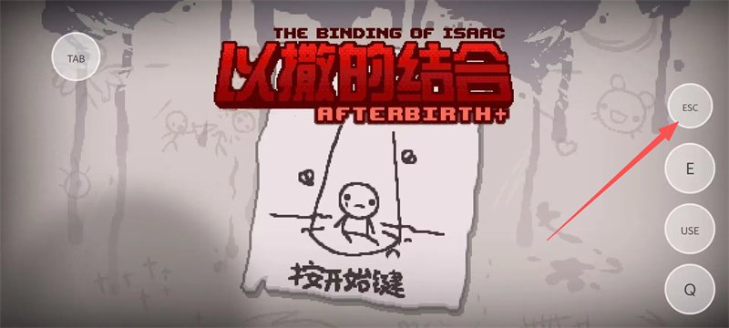 以撒的结合胎衣手机版汉化版截图 以撒的结合胎衣手机版汉化版截图