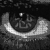 �־� TERROR1.0 �ٷ���