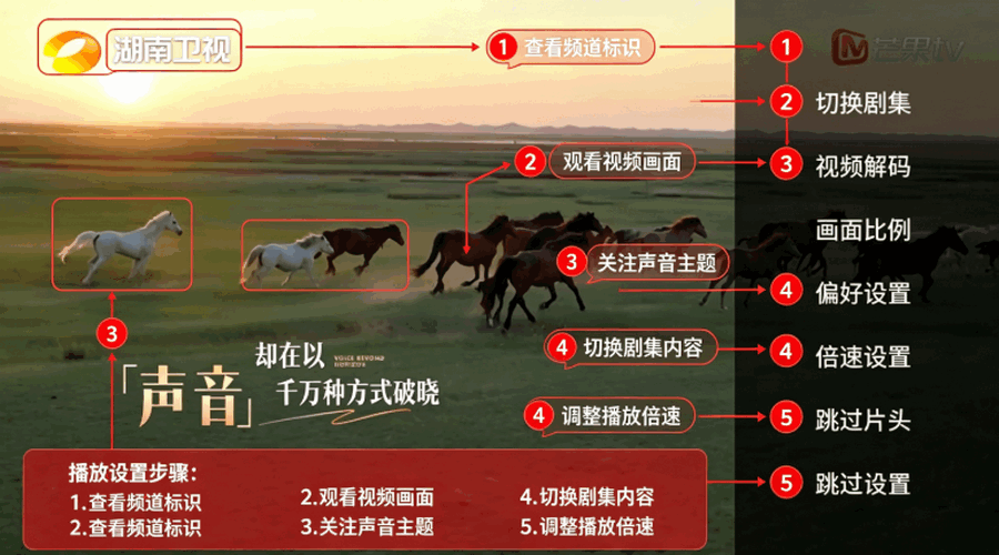 IHOMETV���Ӱ�������ؽ�ͼ
