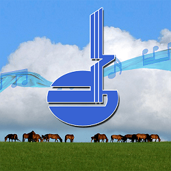 ���������1.1.6 �ٷ���