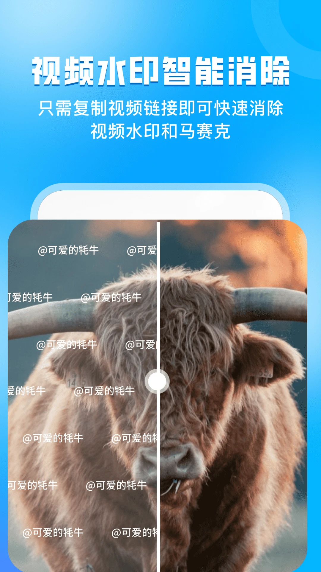 ָ����������ͷ��ͼ4