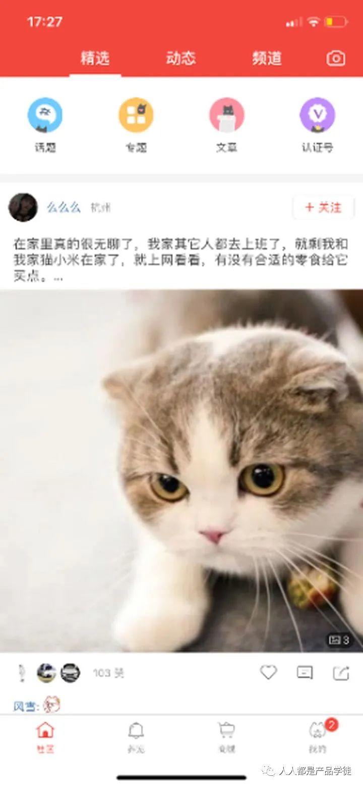铃铛猫 功能 界面 展示