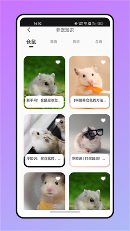 ���󵥴� ��׿�� �ʻ������Խ���