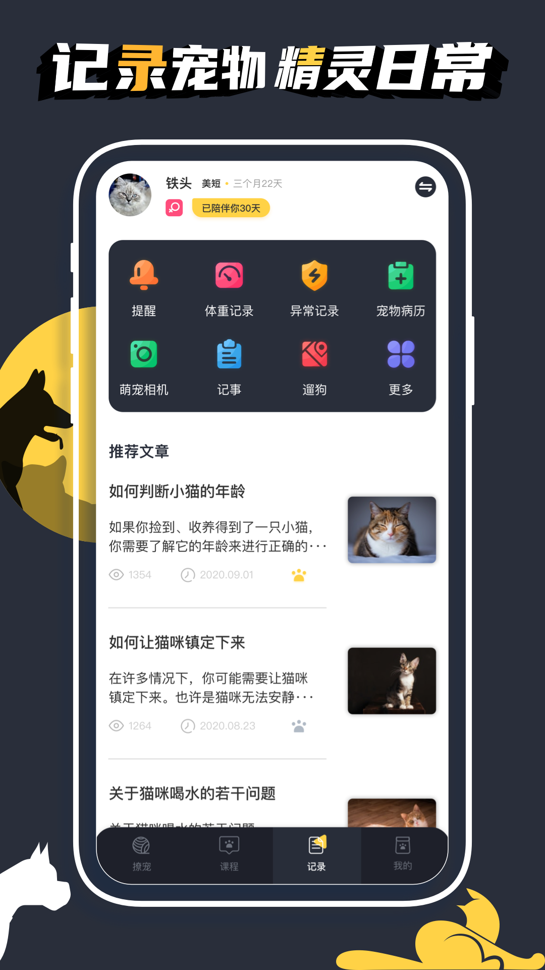 �ȳ���ռ� ��׿�� è������Ӧ�ý���
