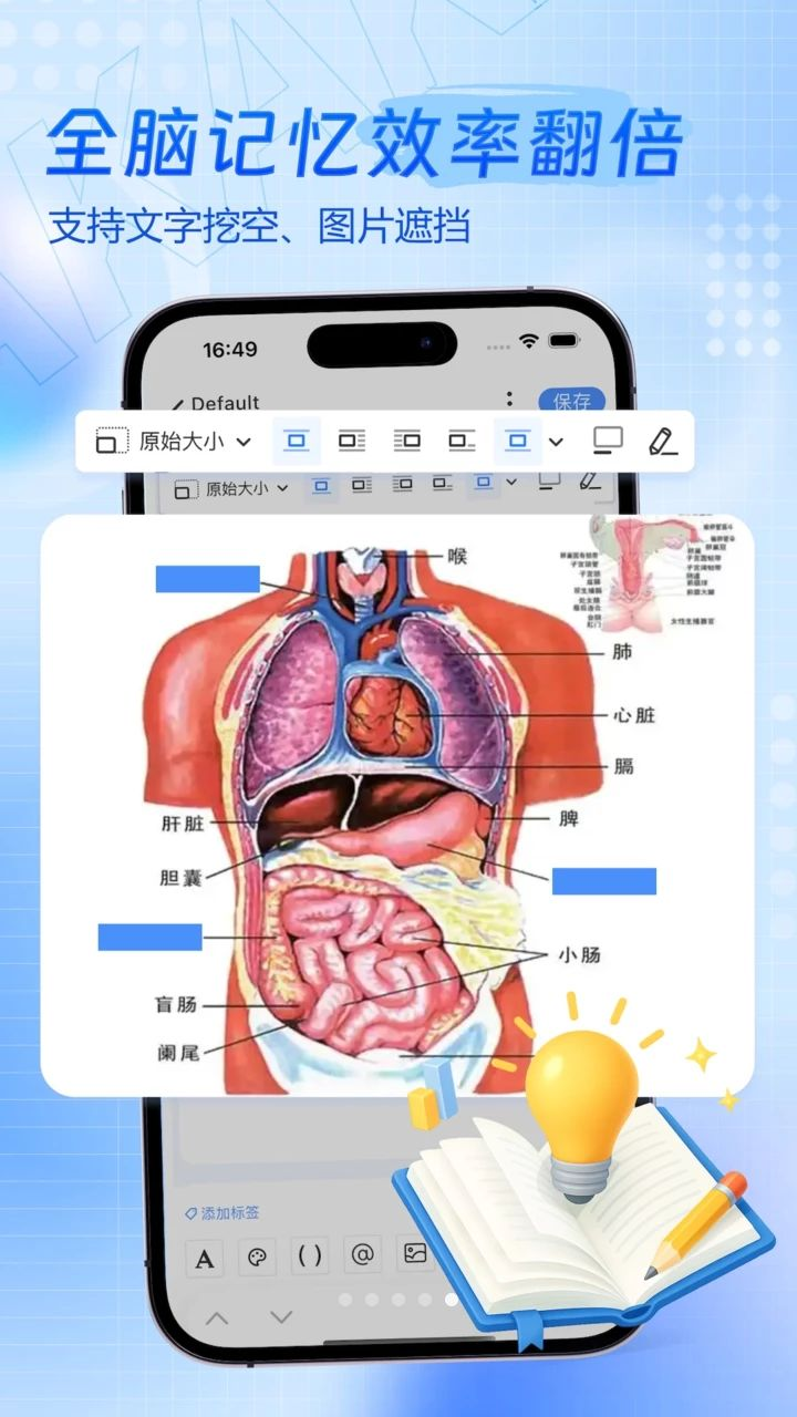 ���Ǽ�-Anki���������ʸ�Ч�����ͼ4