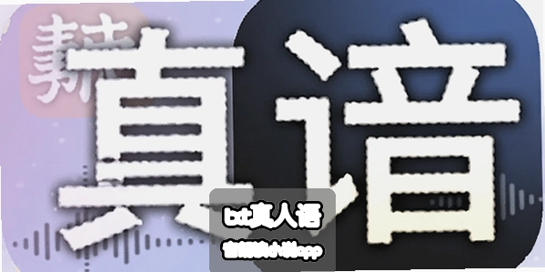 ���ʽ�������
