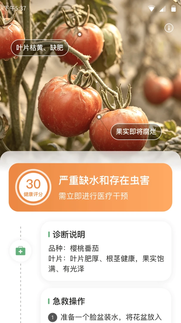 ���ֲ�2.0 ���������ֲ��������н�ͼ