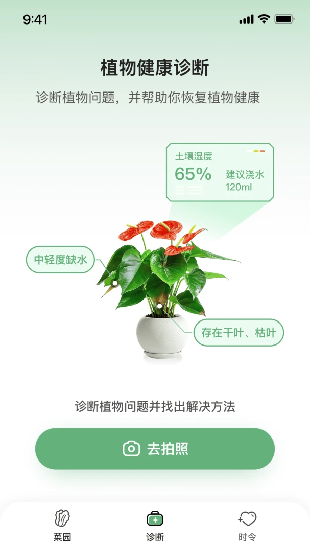 ���ֲ�2.0 ���������ֲ��������н�ͼ