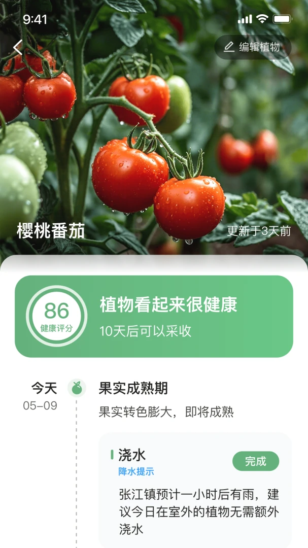 ���ֲ�2.0 ���������ֲ��������н�ͼ