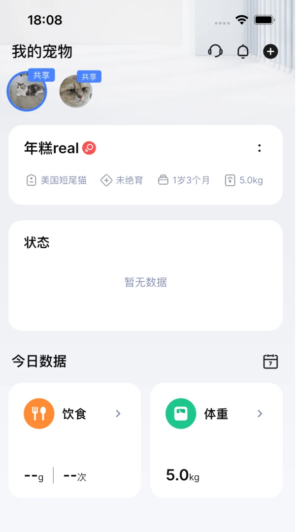 Mypetta0.0.108 ���������������н�ͼ