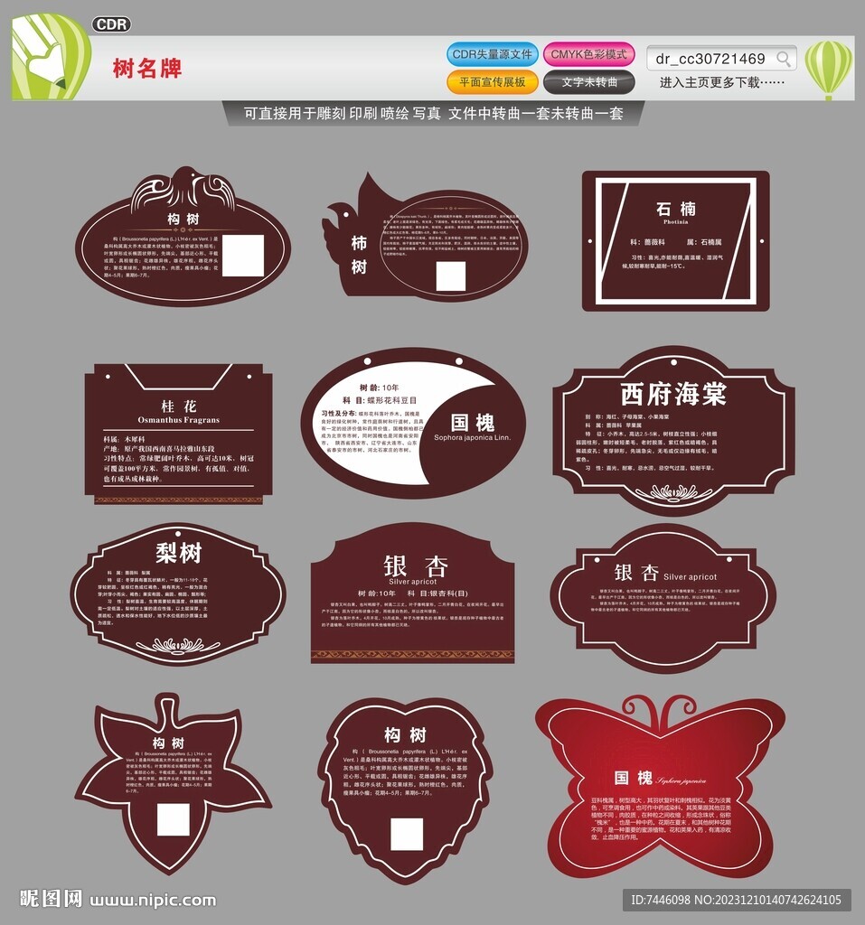 清速翻译助手app 功能界面 安卓版