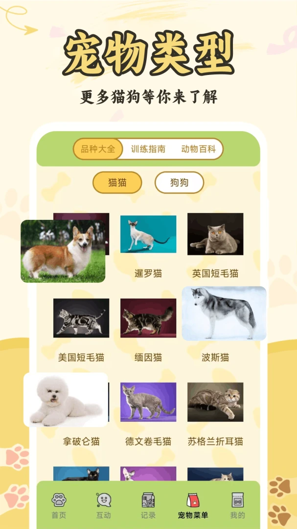 è���˽�����������ͼ3
