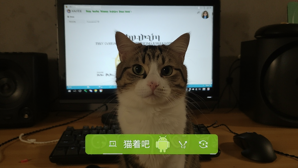 è�Ű� ��׿�� �������� ��ͼ