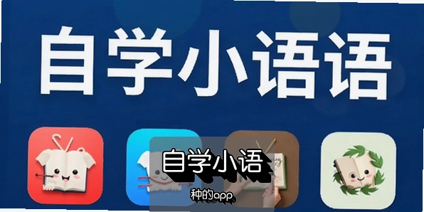 ���ʽ�������