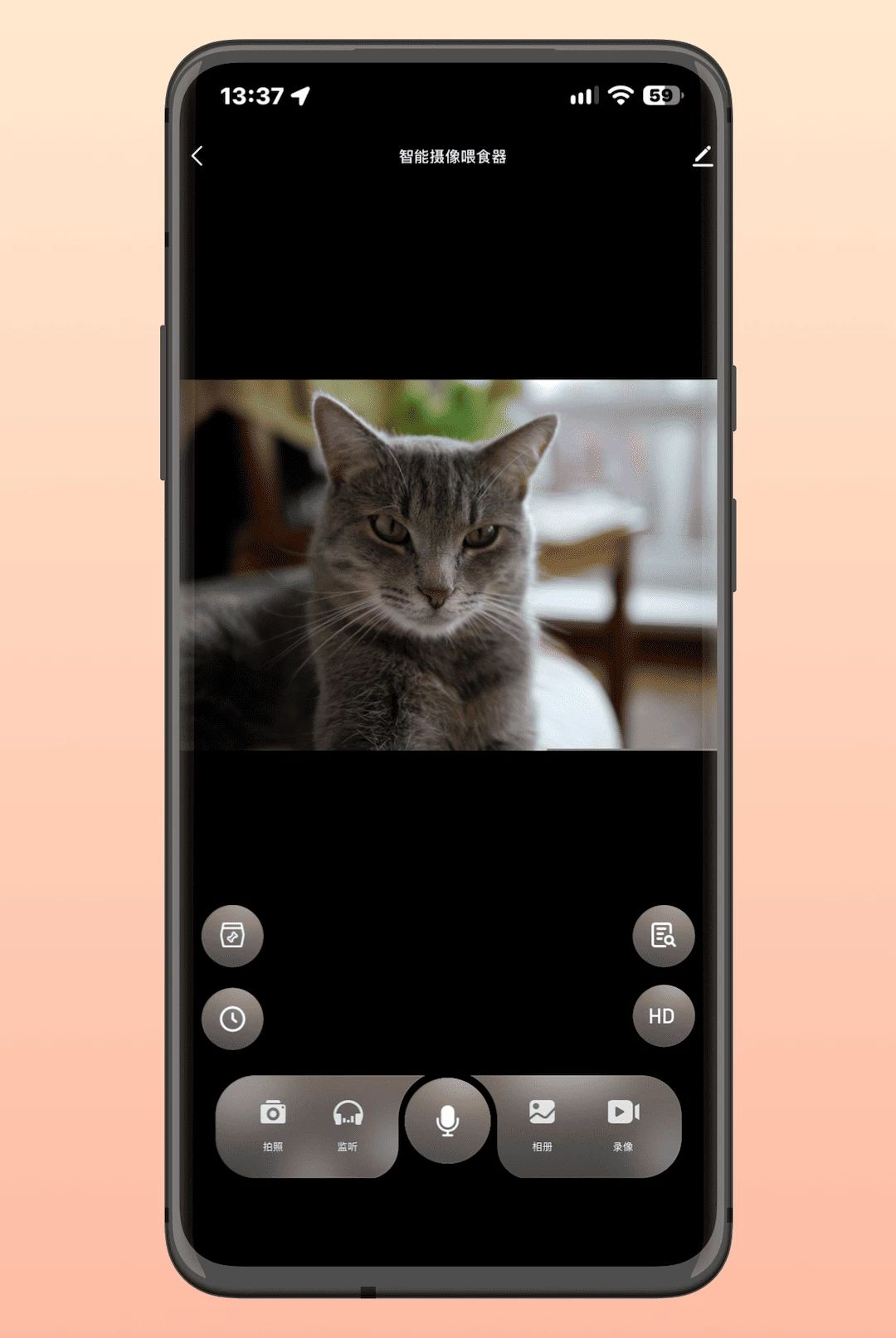 Molly&Cody Smart1.2.0 �ٷ������н�ͼ