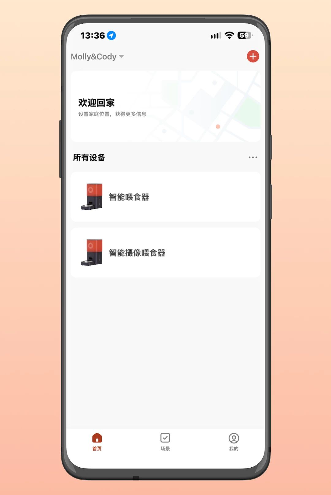 Molly&Cody Smart1.2.0 �ٷ������н�ͼ