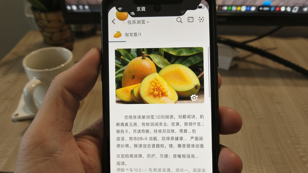 芒果浏览 安卓版 阅读界面