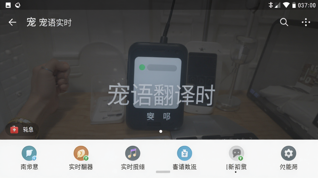宠语实时翻译器 功能界面截图 安卓版